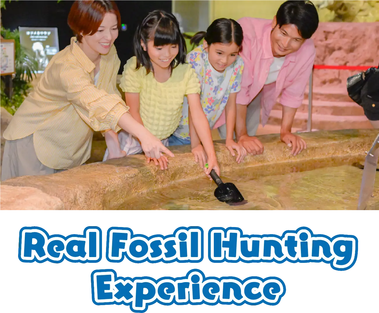 Dig for Real Fossils You Might Even Find a Mosasaurus Tooth!