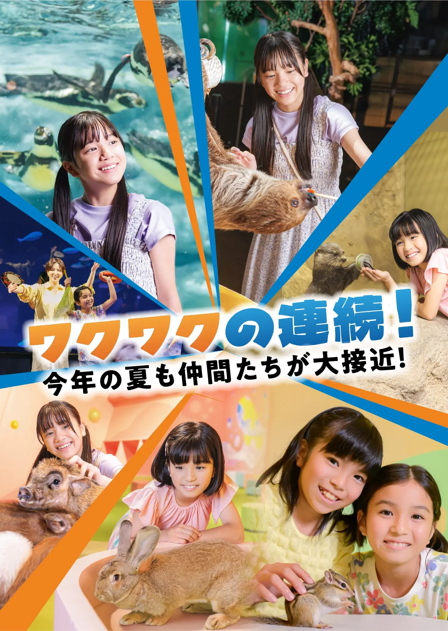 ワクワクの連続！今年の夏も仲間たちが大接近！
