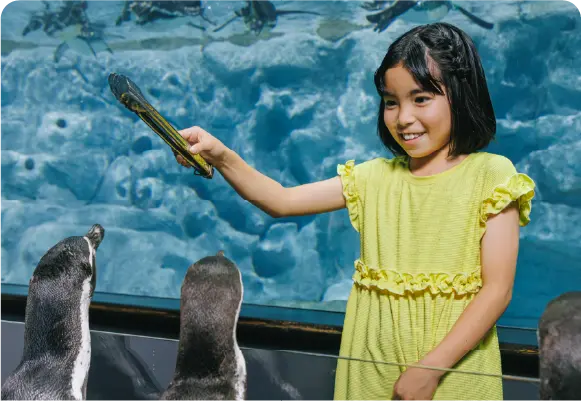 ペンギン解説イベント