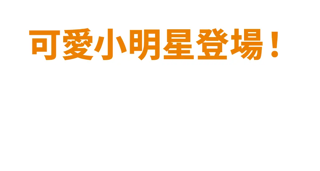 花栗鼠新展示區正式開放