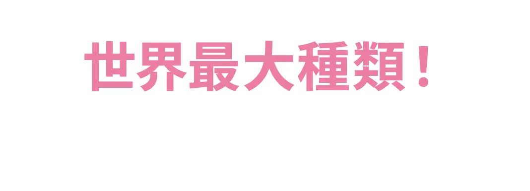 各式各樣的兔子等你來相見！