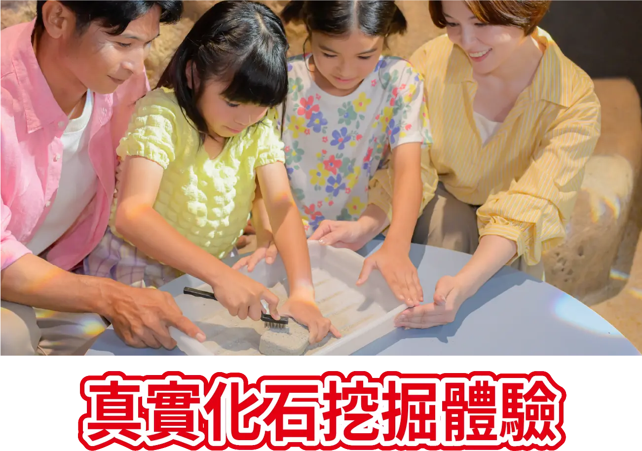 真實化石尋寶體驗