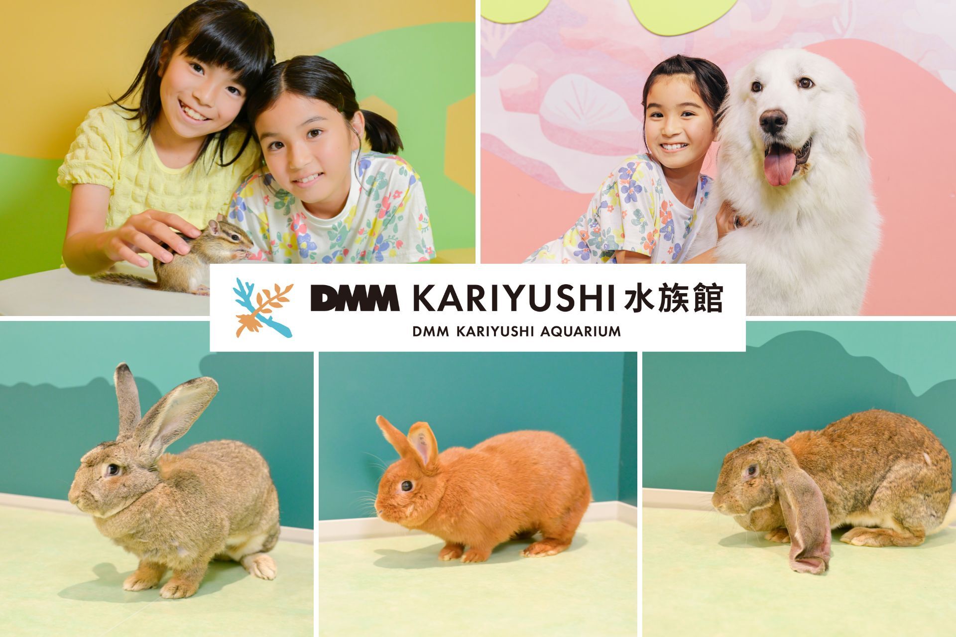DMM KARIYUSHI수족관