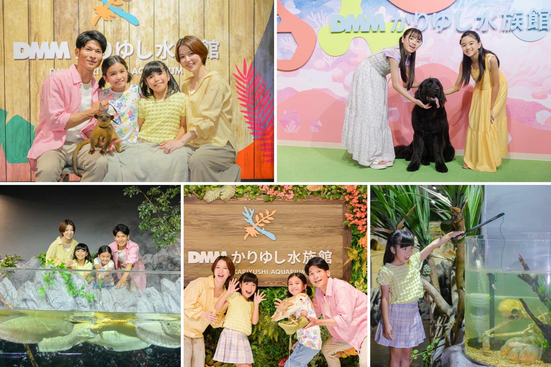 DMMかりゆし水族館